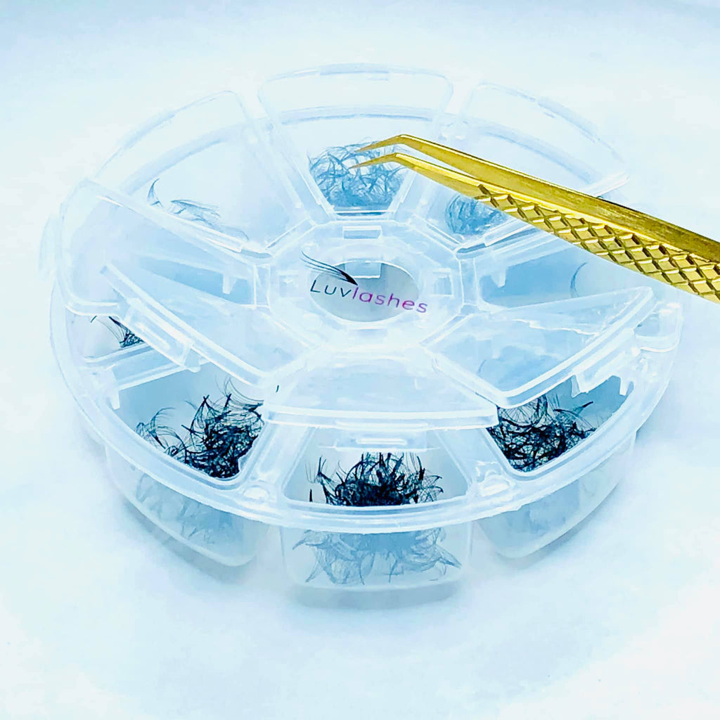 Lash Fan Holder Container